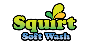 Squirt Soft Wash